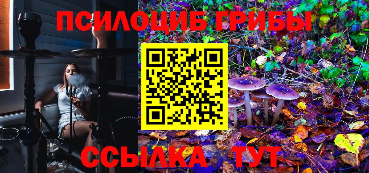 Лениногорск  Галлюциногенные грибы MAGIC MUSHROOMS  Псилоцибиновые грибы мухоморы  Вход с VPN 